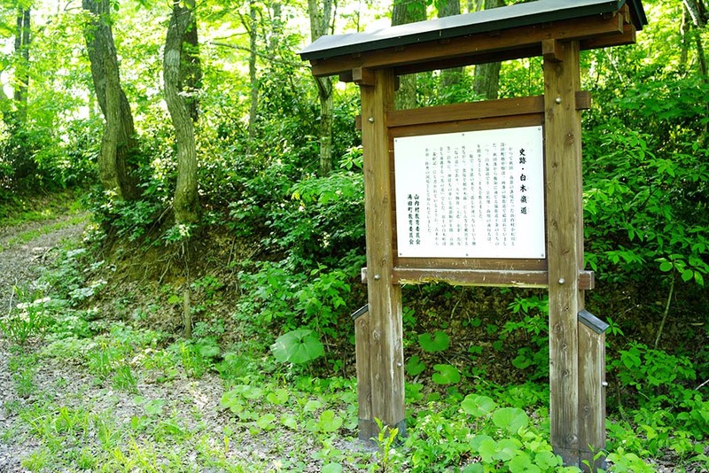 白木峠の遊歩道